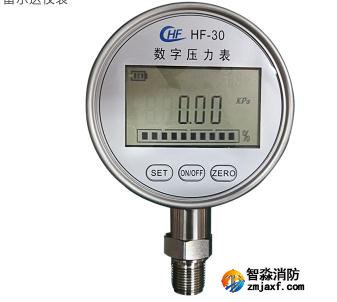 數字壓力表20MPa